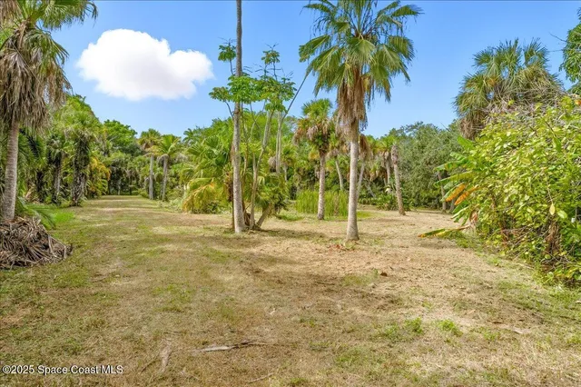 a view of a tree in front of a house