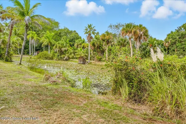 a view of yard with green space