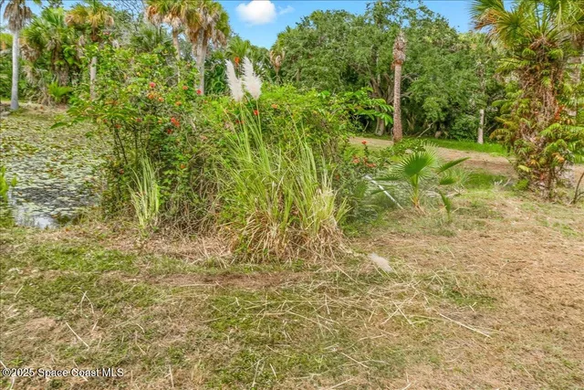 a view of outdoor space and a yard