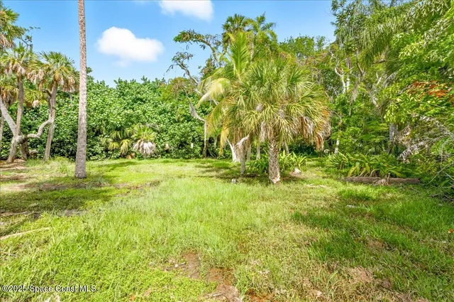 a backyard of a house with lots of green space