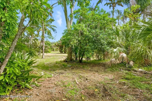 a view of outdoor space with deck and tree