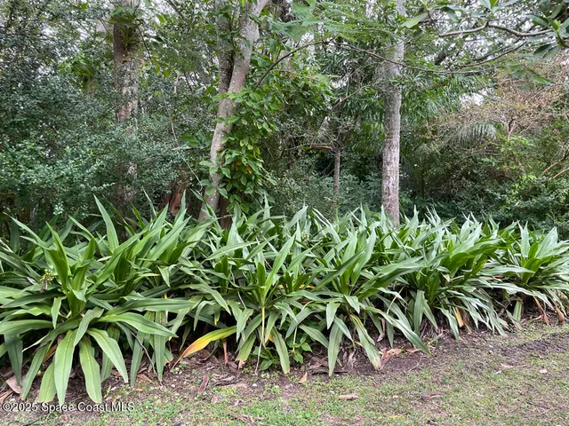 a backyard of a house with lots of green space