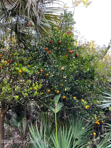 a view of a swimming pool with a yard