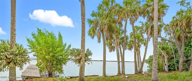 a view of a palm trees in front of a house