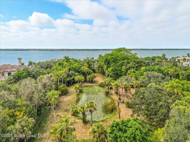 a view of a garden with an outdoor space