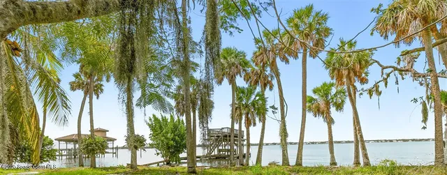 a view of three tall trees
