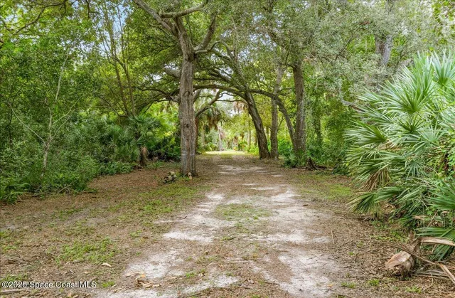a view of backyard with green space