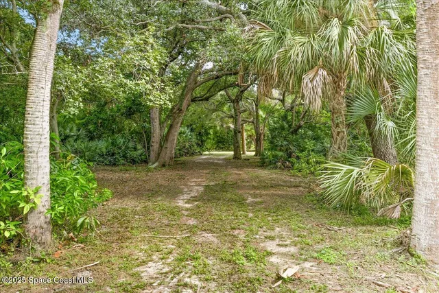 a view of backyard with green space