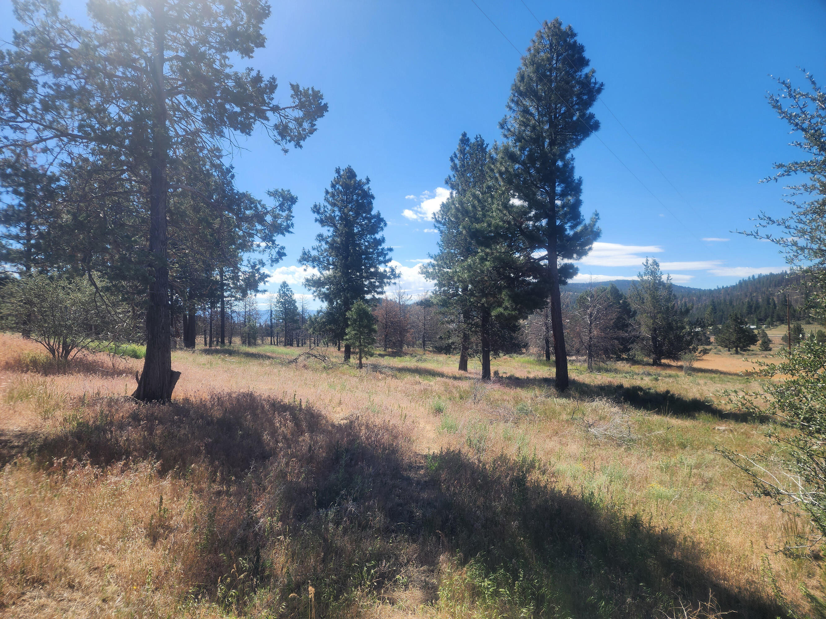 19463 Patten Meadow Road Lakeview, OR 97630 - Photo 33 of 48 20240626_100528