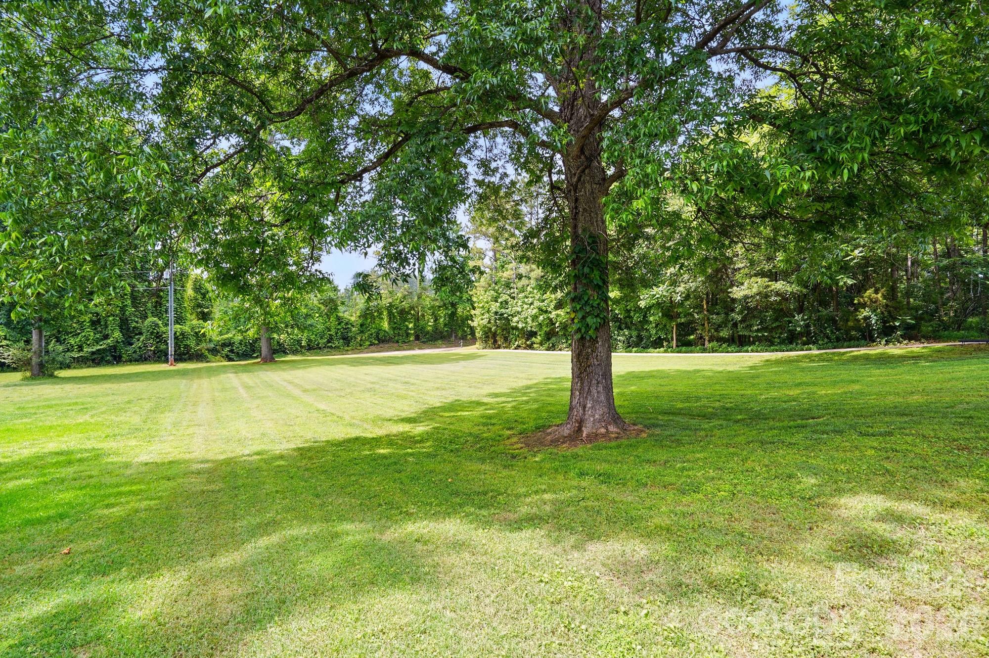 1621 State Rd S-46-323 York, SC 29745 - Photo 4 of 45 Gallery Image 4