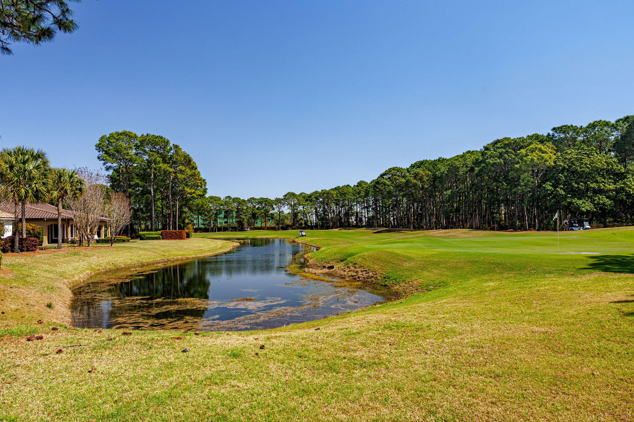 29 Ivory Court Miramar Beach, FL 32550 - Photo 29 of 39 a view of a swimming pool with an outdoor seating and a garden