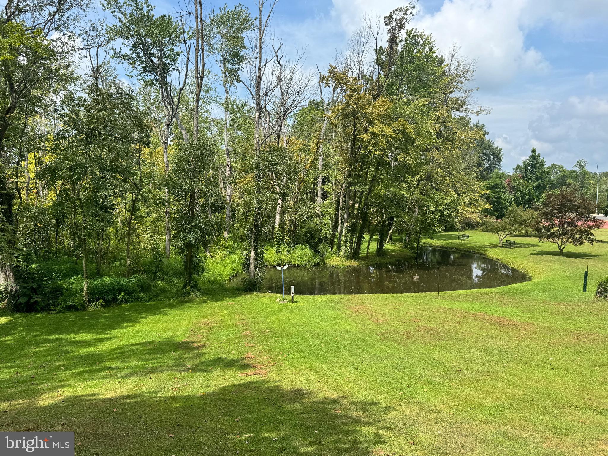 4 South 1st Street Denton, MD 21629 - Photo 21 of 123 Park-like Setting with Pond