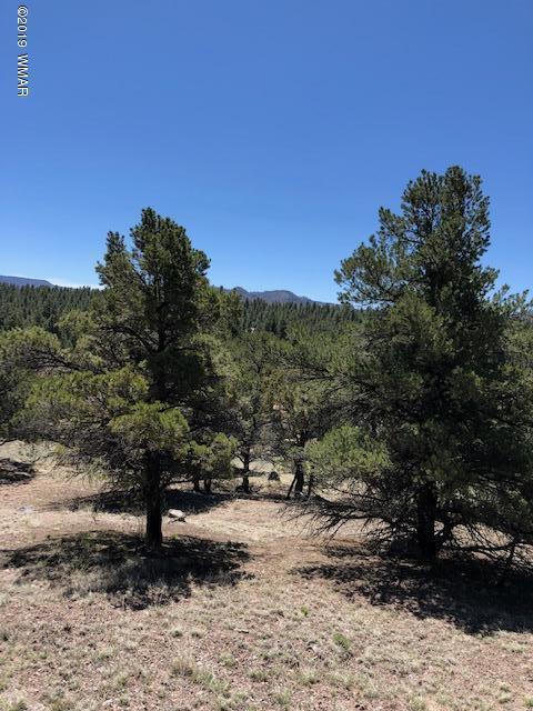 Lot 92 County Road Nutrioso, AZ 85932 - Photo 11 of 21