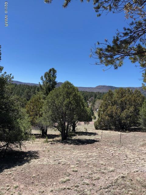 Lot 92 County Road Nutrioso, AZ 85932 - Photo 12 of 21