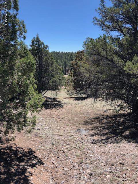 Lot 92 County Road Nutrioso, AZ 85932 - Photo 13 of 21