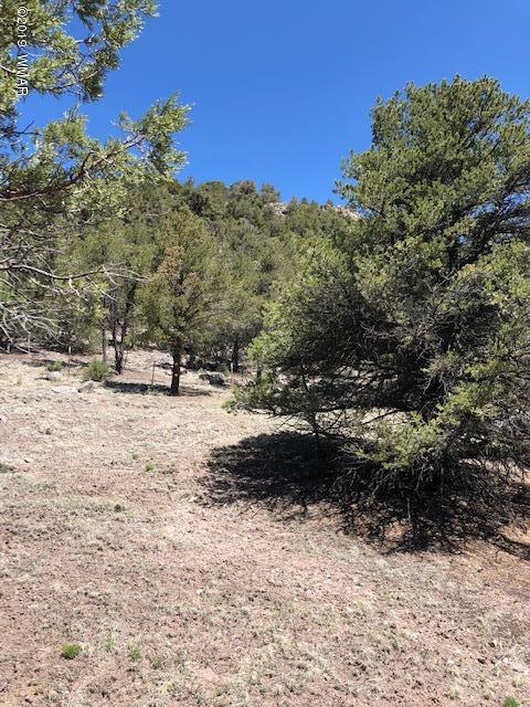 Lot 92 County Road Nutrioso, AZ 85932 - Photo 14 of 21