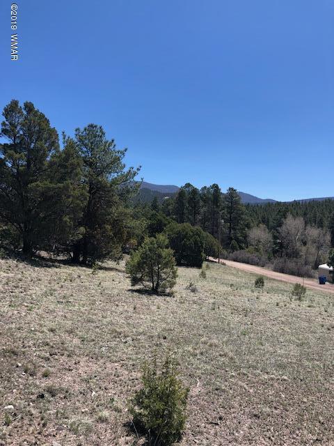 Lot 92 County Road Nutrioso, AZ 85932 - Photo 15 of 21