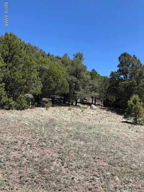 Lot 92 County Road Nutrioso, AZ 85932 - Photo 18 of 21