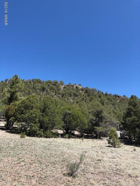 Lot 92 County Road Nutrioso, AZ 85932 - Photo 19 of 21