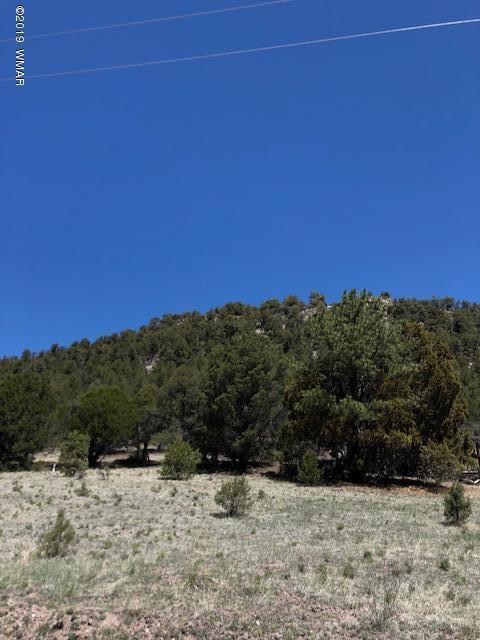 Lot 92 County Road Nutrioso, AZ 85932 - Photo 2 of 21