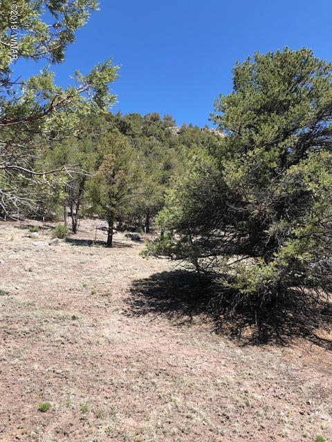 Lot 92 County Road Nutrioso, AZ 85932 - Photo 21 of 21
