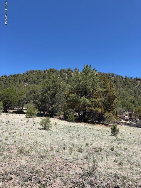 Lot 92 County Road Nutrioso, AZ 85932 - Photo 3 of 21