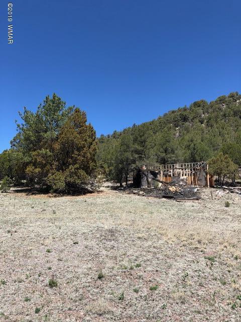 Lot 92 County Road Nutrioso, AZ 85932 - Photo 4 of 21