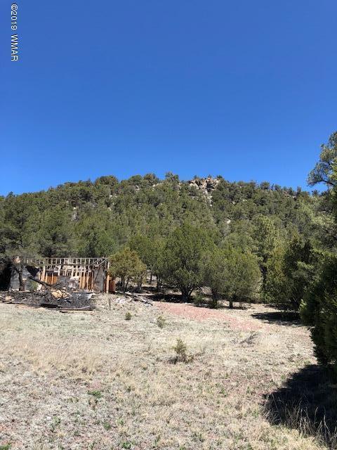 Lot 92 County Road Nutrioso, AZ 85932 - Photo 5 of 21