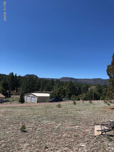 Lot 92 County Road Nutrioso, AZ 85932 - Photo 6 of 21