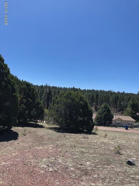 Lot 92 County Road Nutrioso, AZ 85932 - Photo 7 of 21
