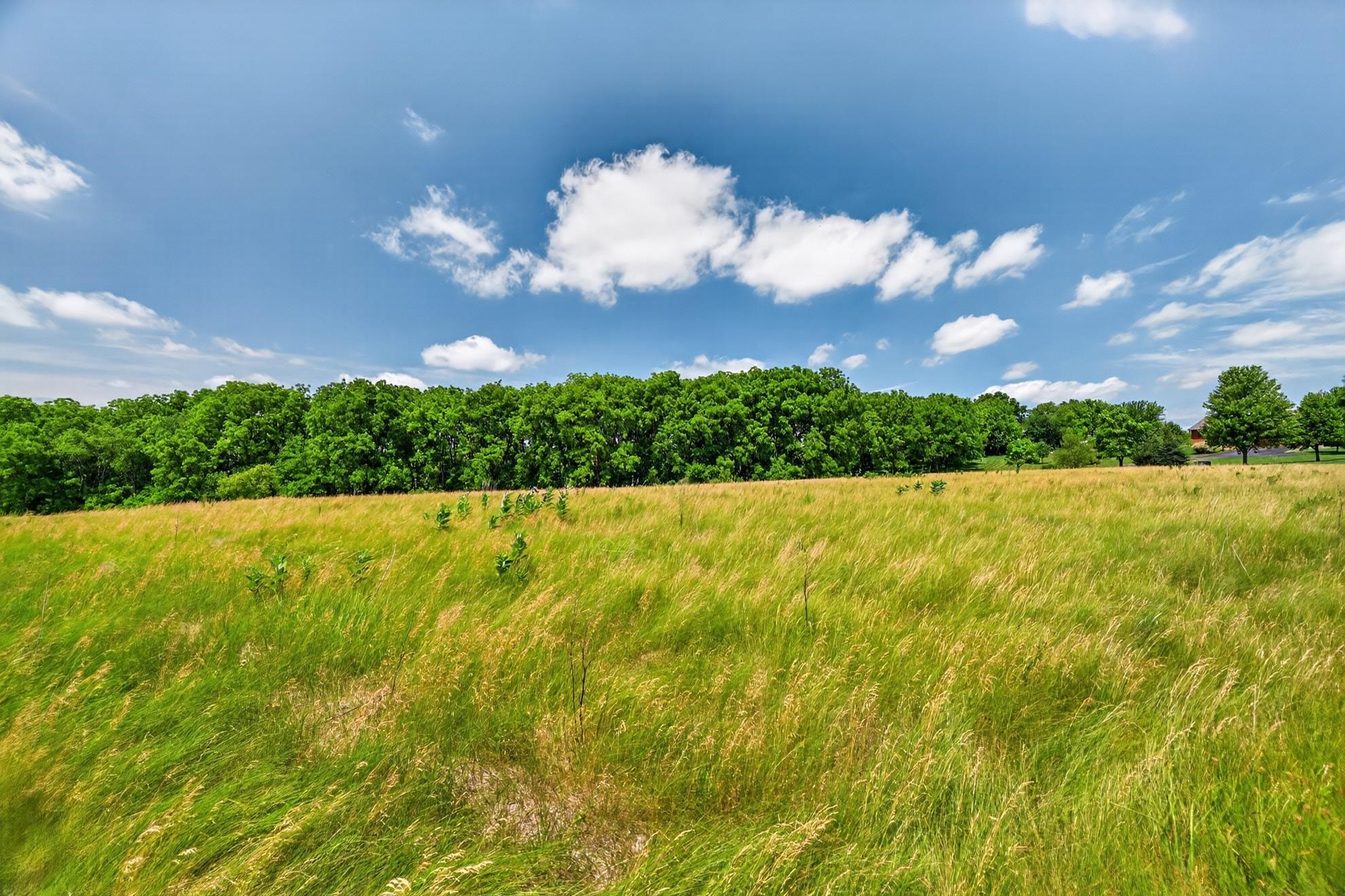 Lot 15 Lightning Ridge Monroe, WI 53566 - Photo 12 of 16