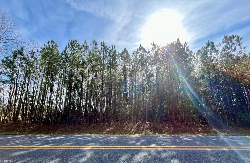 0 Kernodle Road Gibsonville, NC 27249 - Photo 2 of 4 6 AC across the street included in parcel