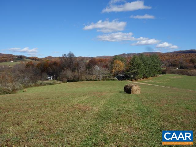 421 A Ruckers Run Lane Lovingston, VA 22949 - Photo 4 of 47 Gallery Image 4