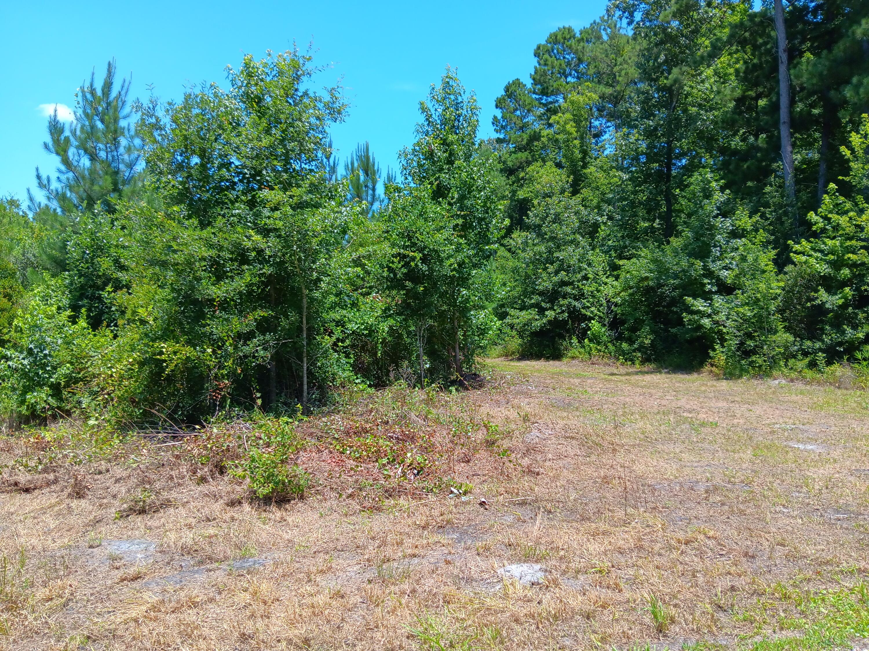 0 Primus Drive St. George, SC 29477 - Photo 2 of 11 20240703_130759