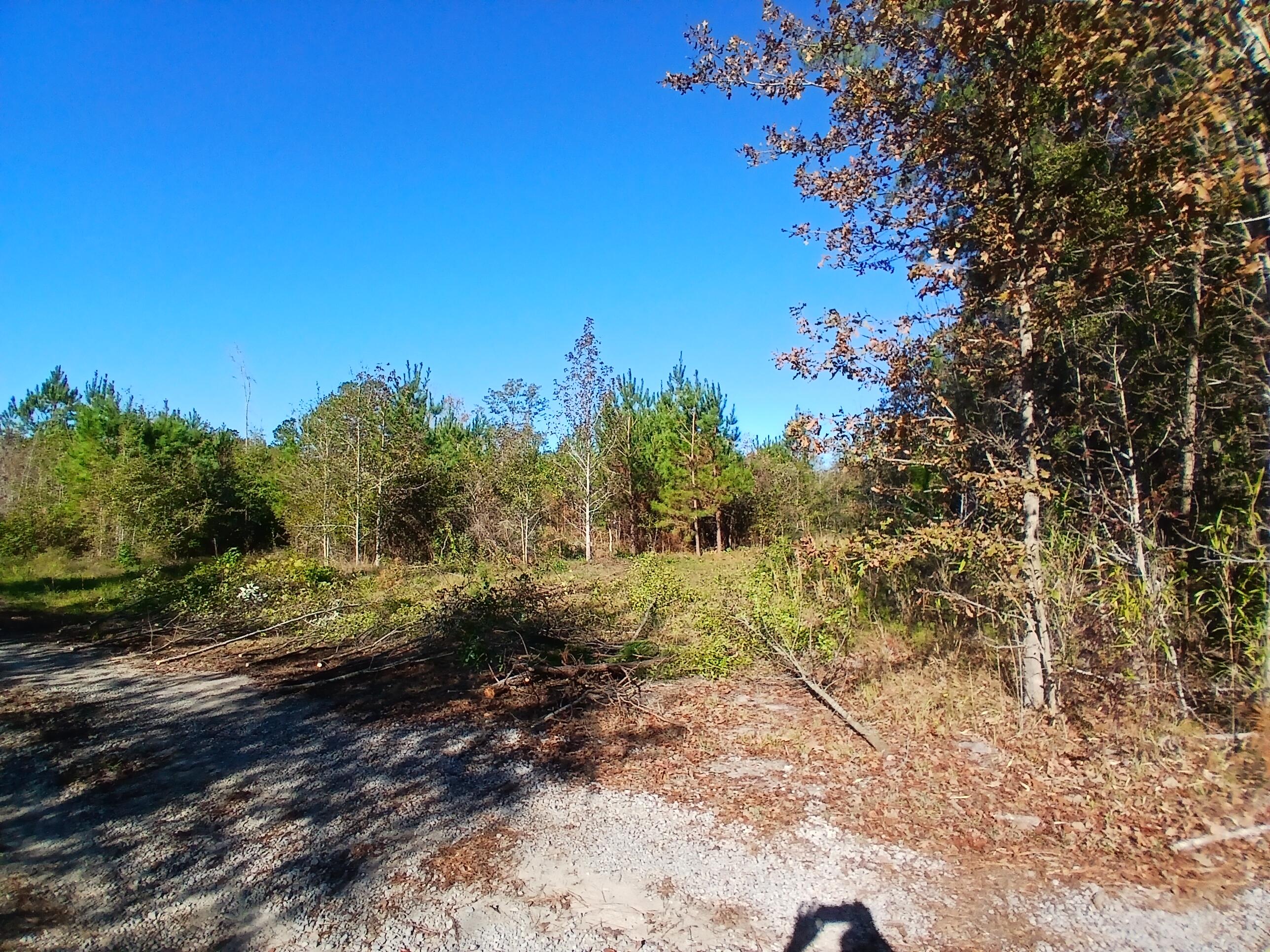 0 Primus Drive St. George, SC 29477 - Photo 3 of 11 20241124_101311