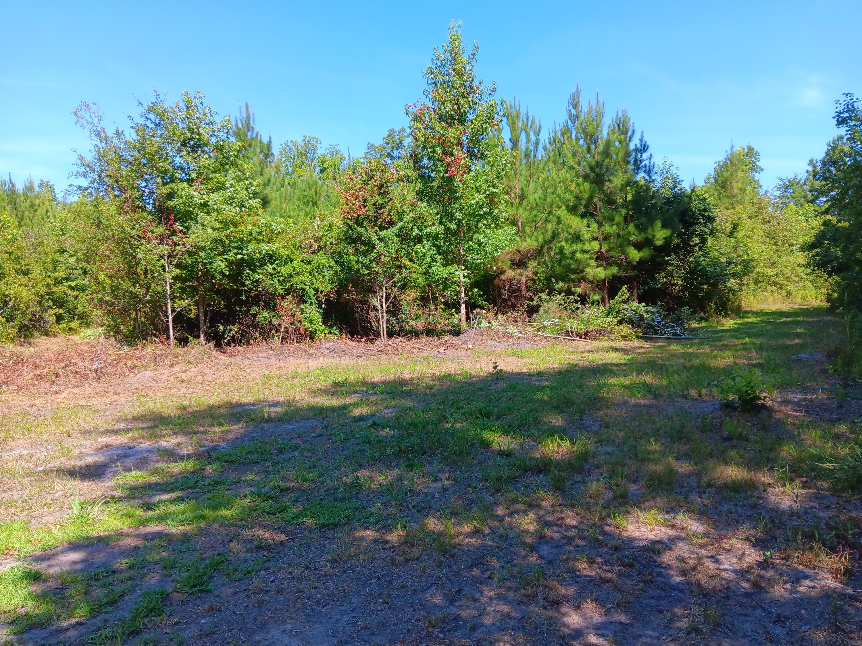 0 Primus Drive St. George, SC 29477 - Photo 4 of 11 20240711_111517