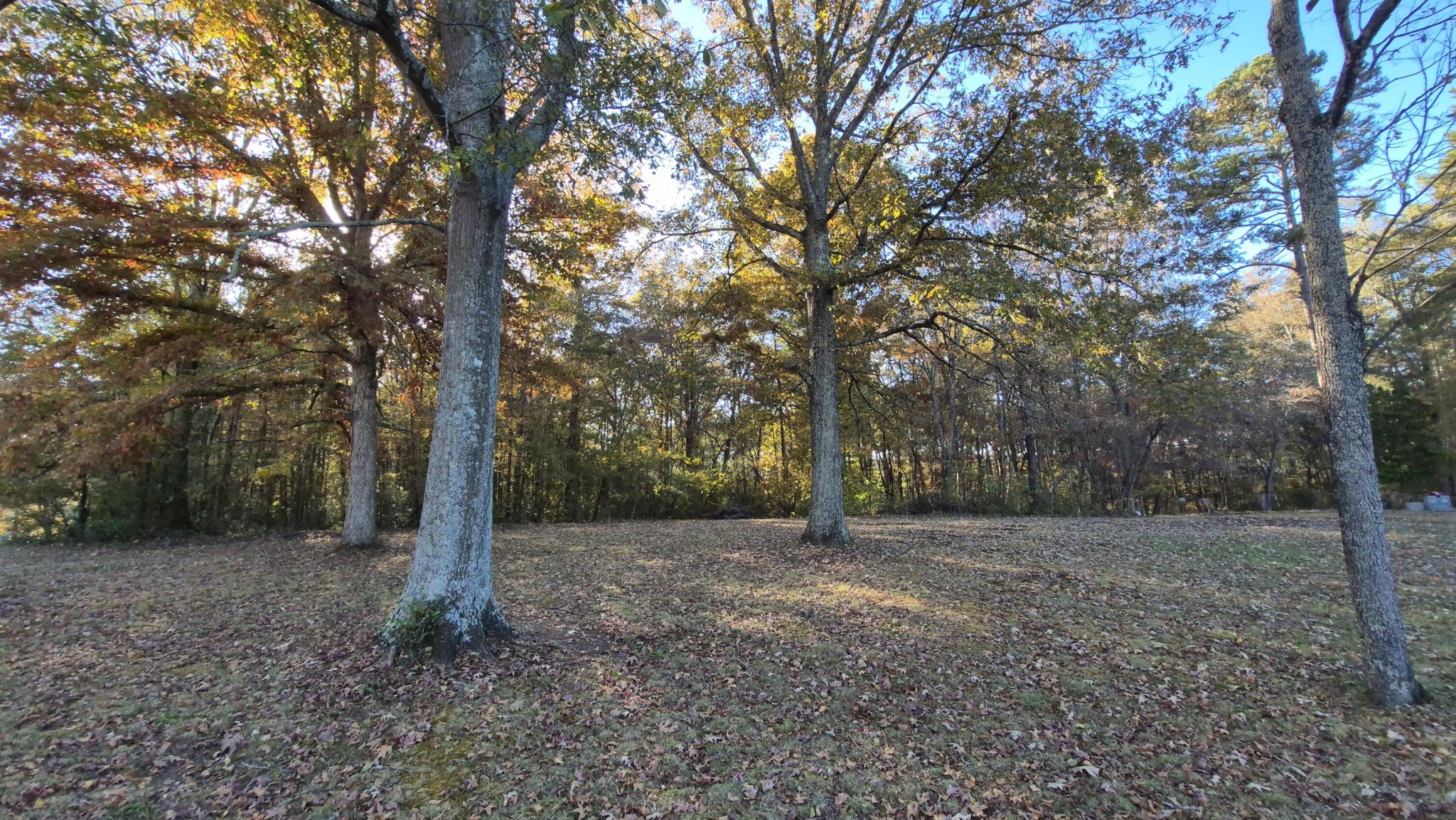 110 Hess Drive Bridgeport, AL 35740 - Photo 30 of 39
