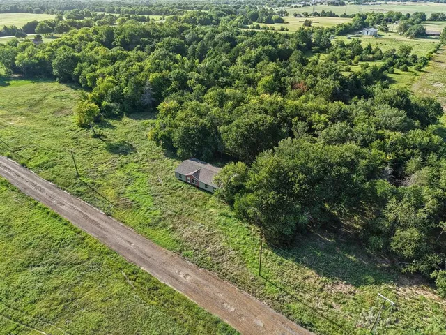 a view of a garden with a tree
