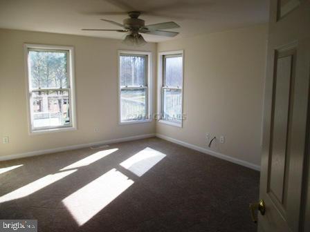 37000 Purnell Crossing Road Willards, MD 21874 - Photo 6 of 13 Gallery Image 6
