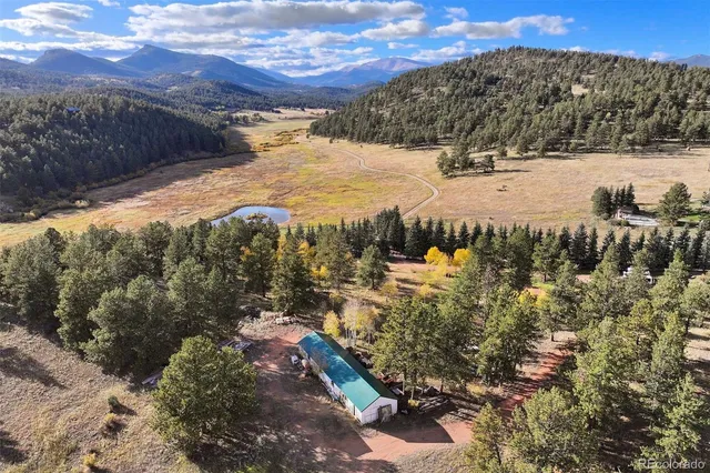 a view of a yard with a tree