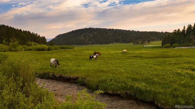 a view of a golf course with chairs