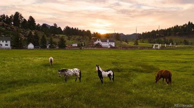 a view of a lush green hillside and a houses