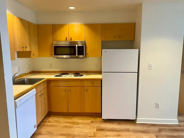 a kitchen with a sink a stove and a refrigerator