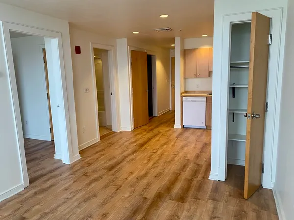 a view of a bathroom with a walk in closet and wooden floor