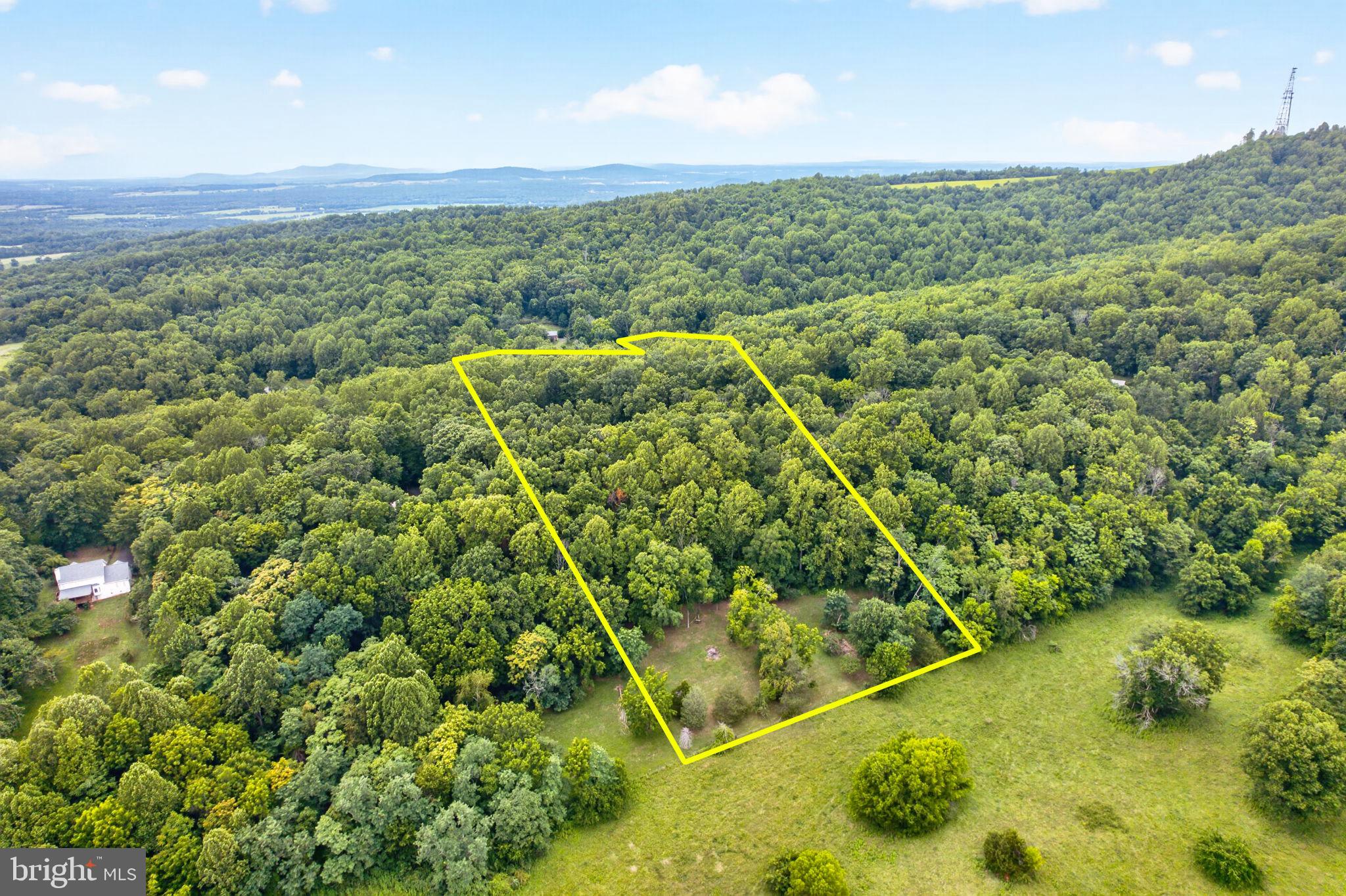7501 Moormont Road Rapidan, VA 22733 - Photo 72 of 76 Expansive wooded retreat awaits you.