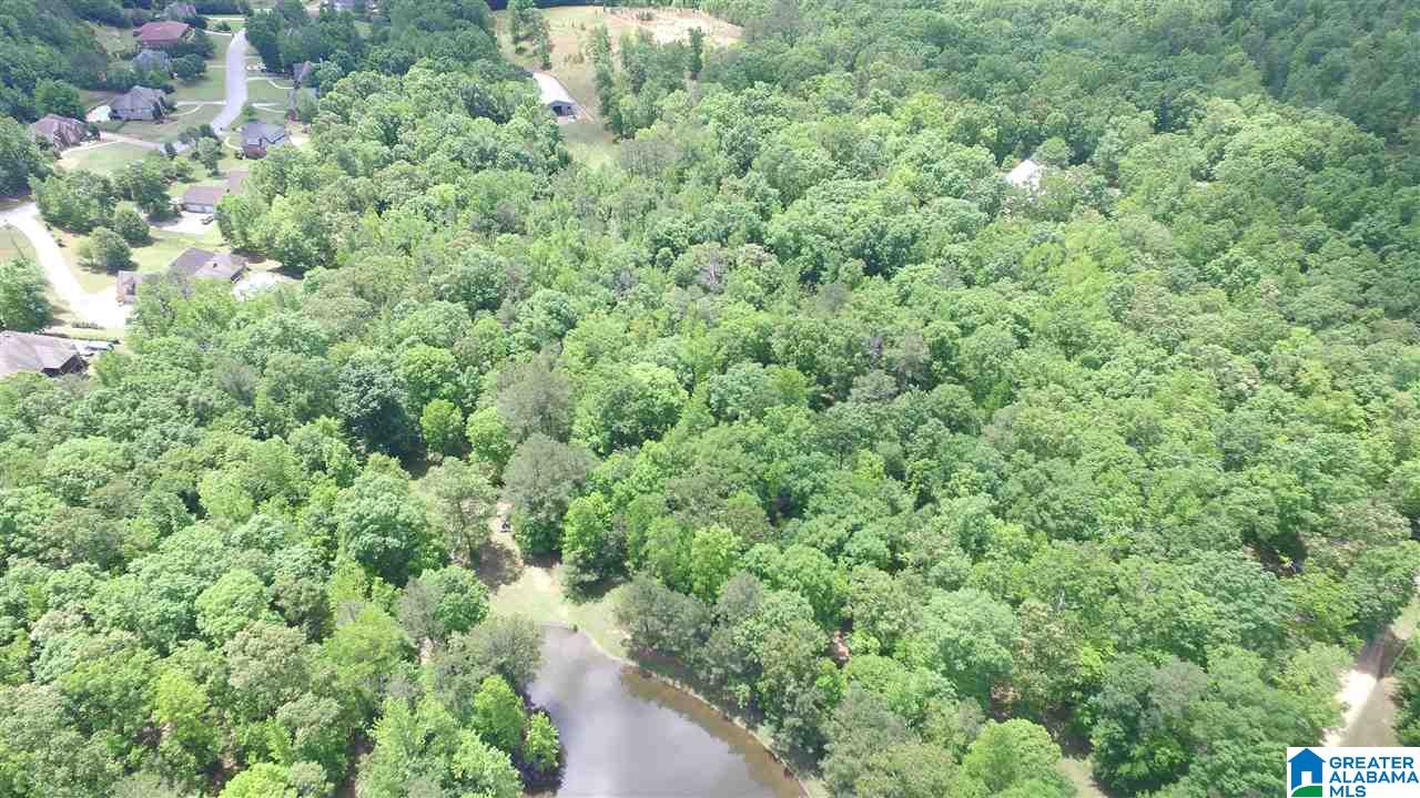 Lot 2 Brookview Lane, Unit 2 Helena, AL 35080 - Photo 5 of 13