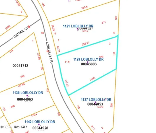 $36,000 | 1129 Loblolly Drive, Vass, NC 28394