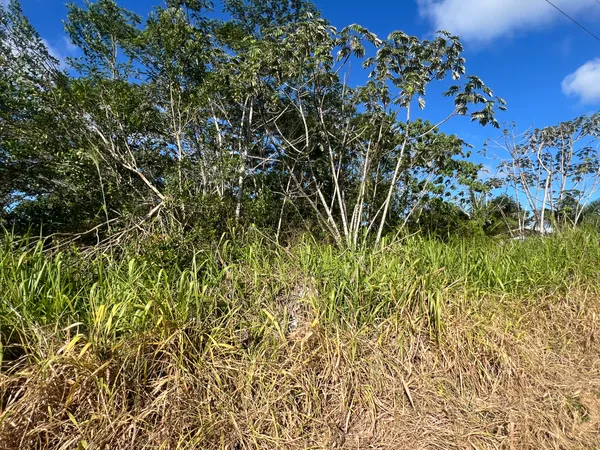 $120,000 | 15-1381 Lot 348 22nd Avenue, Keaau, HI 96749