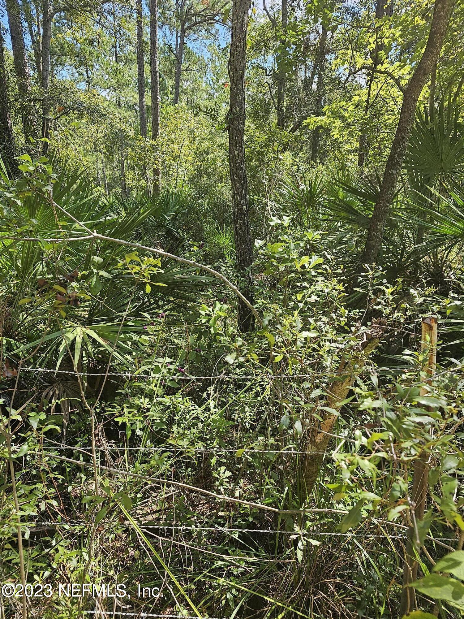 220 Chesser Road Palatka, FL 32177 - Photo 2 of 6 a view of a yard