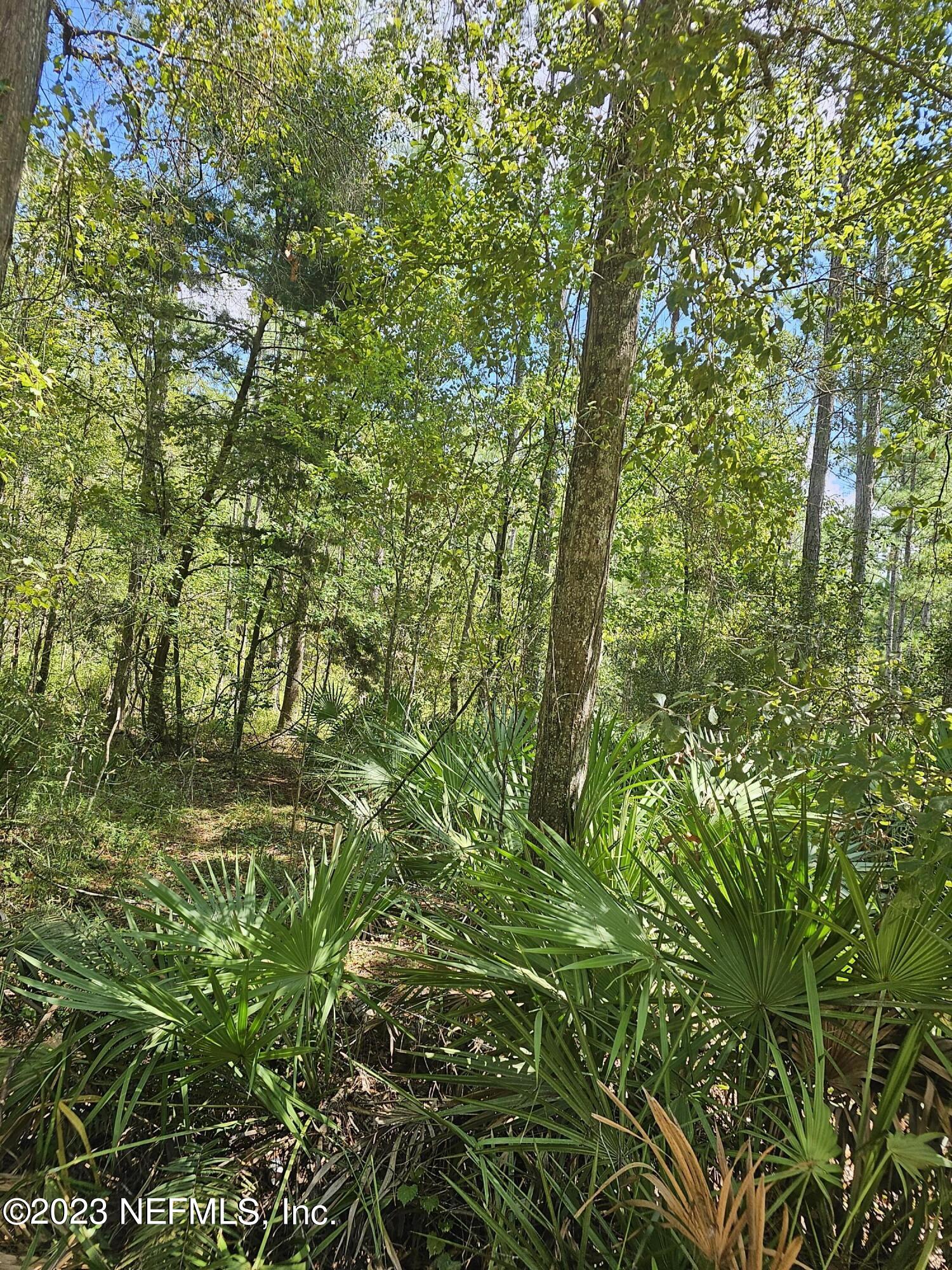 220 Chesser Road Palatka, FL 32177 - Photo 4 of 6 a backyard of a house with lots of green space and a lake view